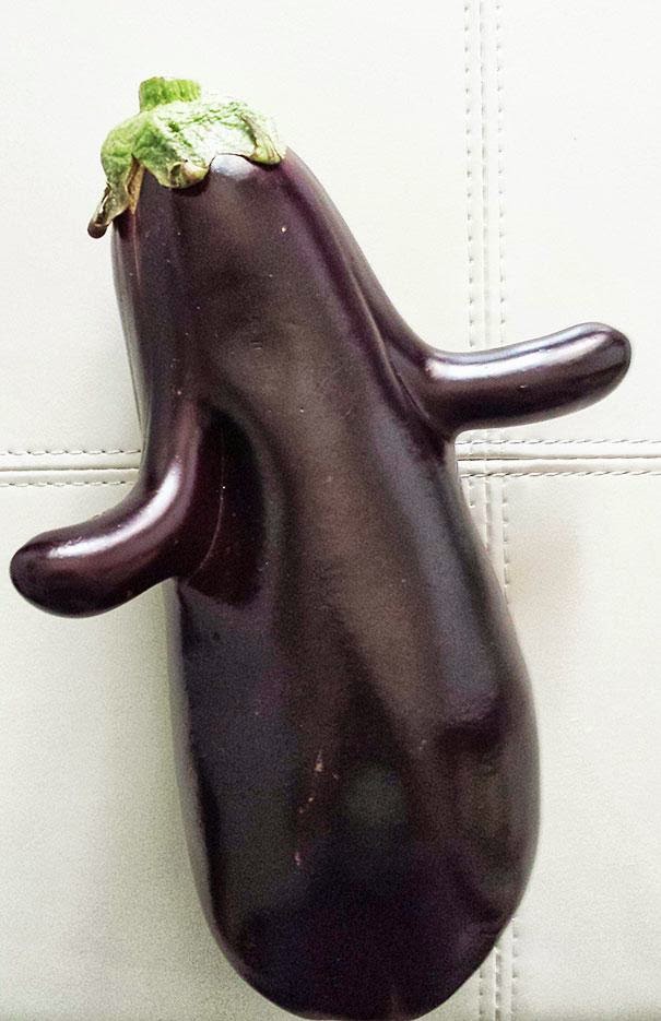 بالصور أغرب 15 شكل للفواكه والخضورات Happy+eggplant