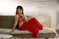 Anushka hot, Anushka new hot photos, Anushka spicy saree