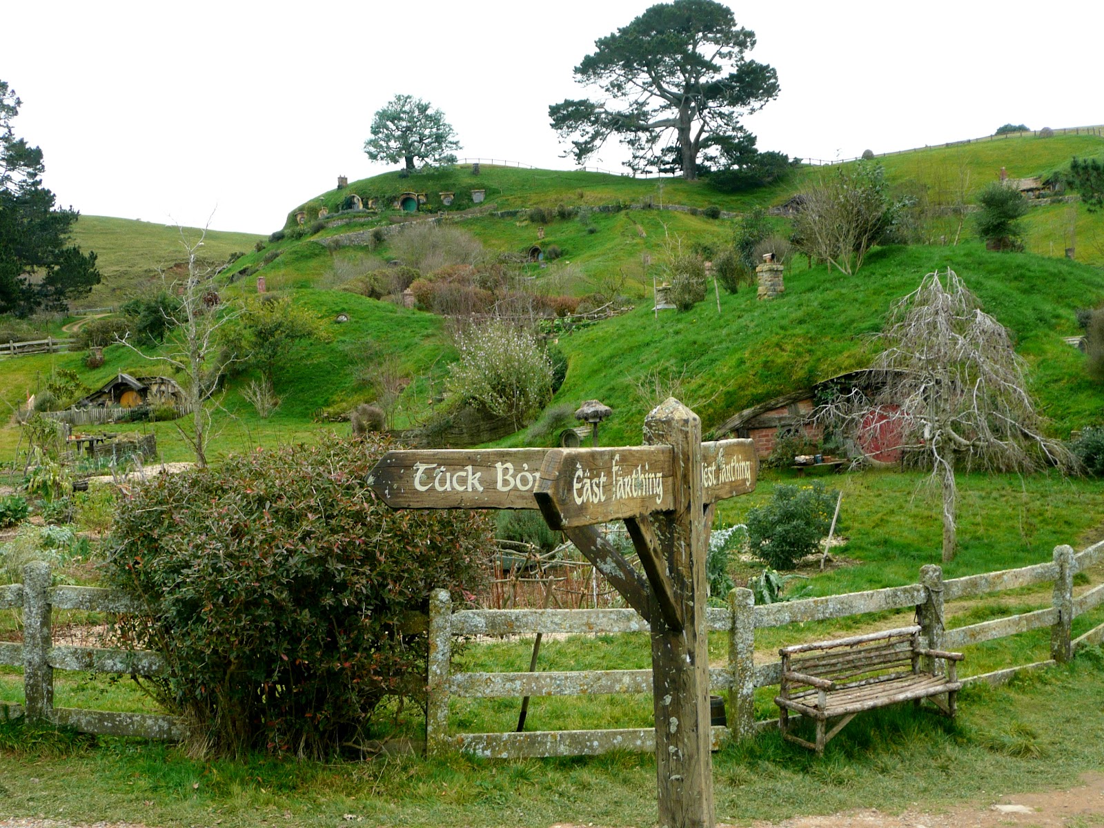 Bilbo baggins, The shires and Gandalf on Pinterest