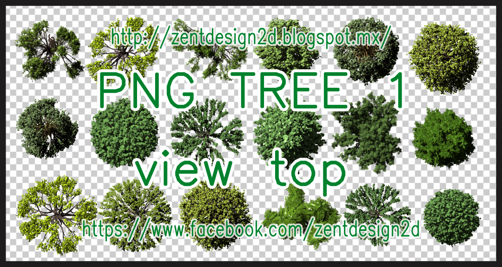 TREE PNG - VIEW TOP 1 ~ ART ZONE FREE