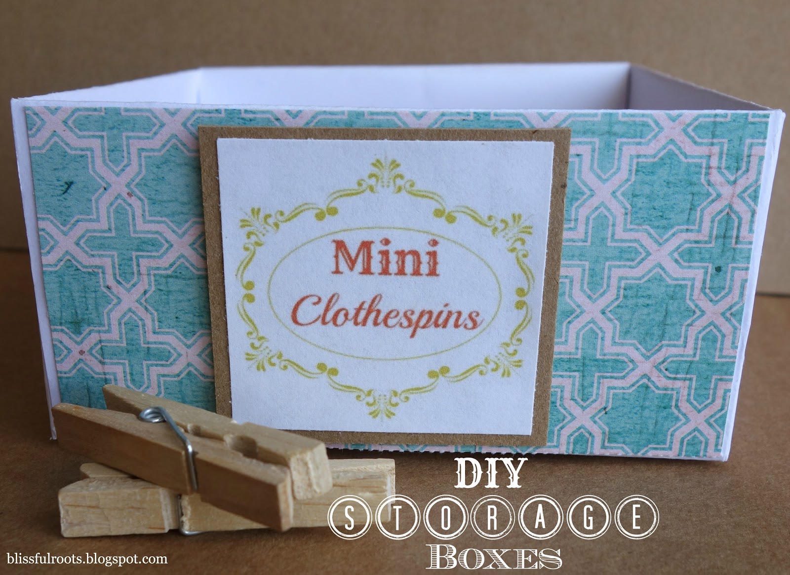 BLISSFUL ROOTS DIY Storage Boxes
