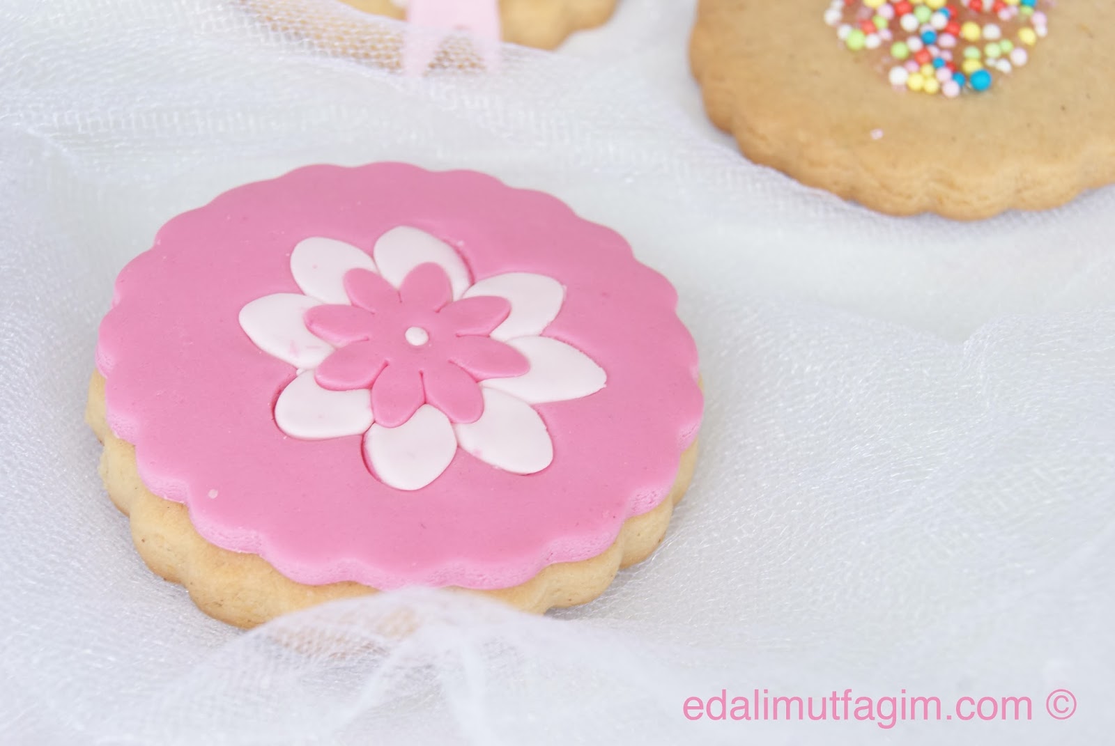 kurabiye kaç gün dayanır