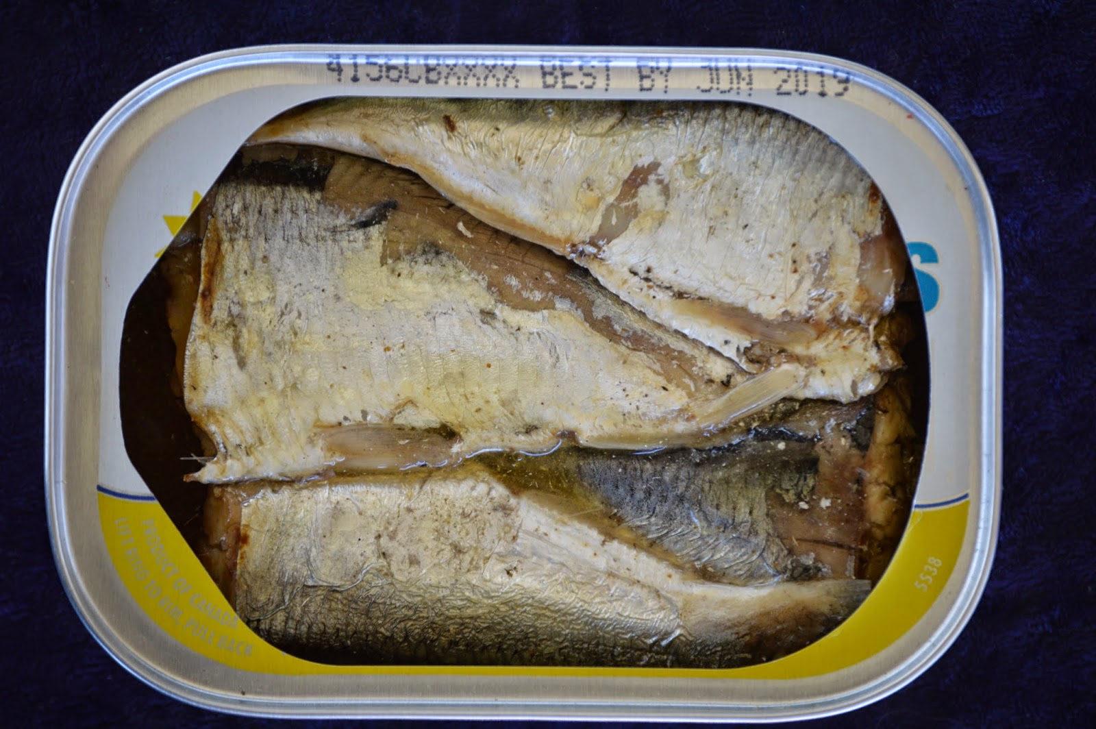 Mouth Full of Sardines Beach CliffSardines