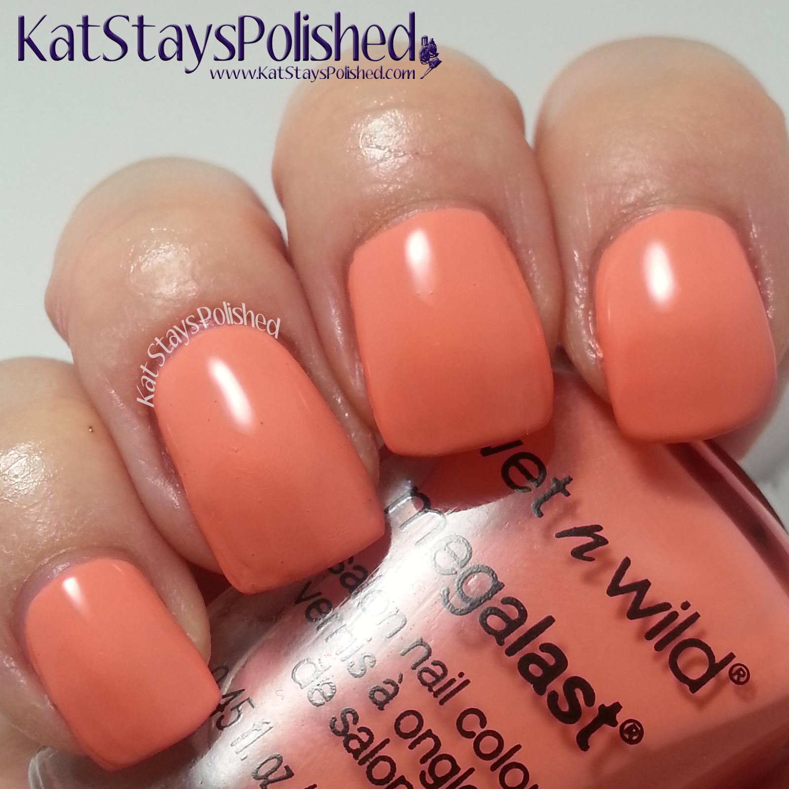 WetNWild MegaLast Silver Lake Collection - Warm Filter | Kat Stays Polished