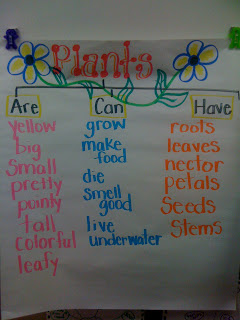 My First Grade Heart