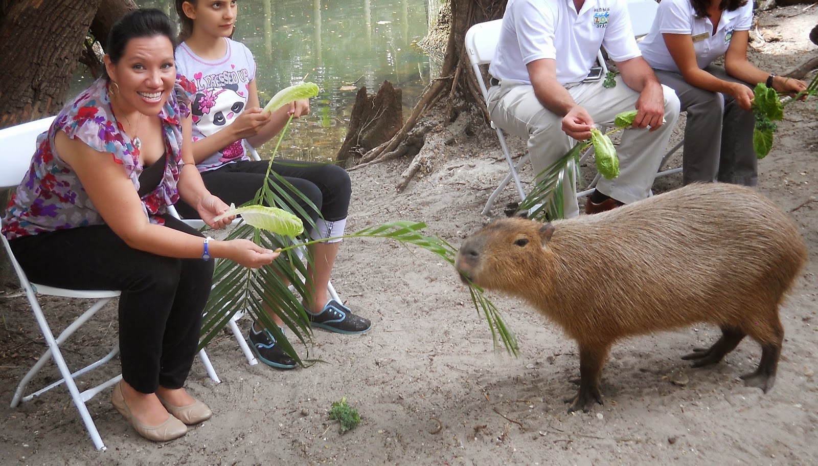 Some of the benefits of working at a zoo... or, Why I Love My Job