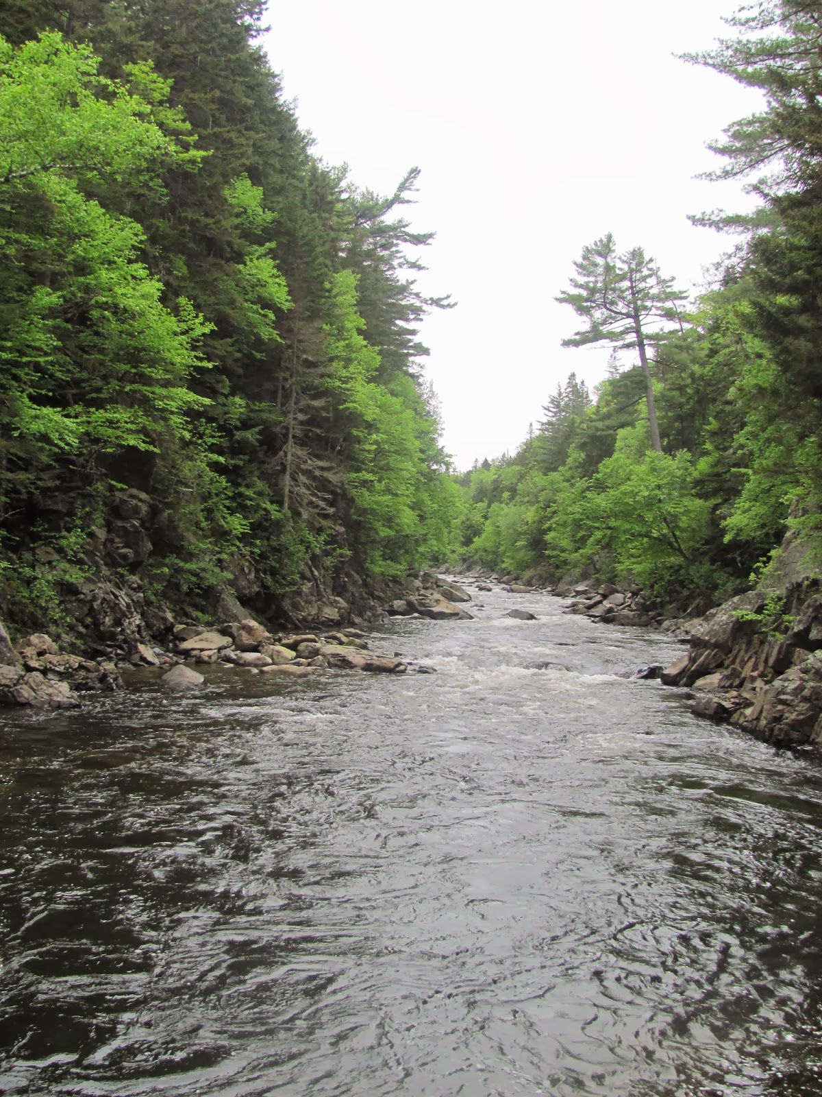 Hooks Hackle Chronicles Of A New England Flyfisherman The