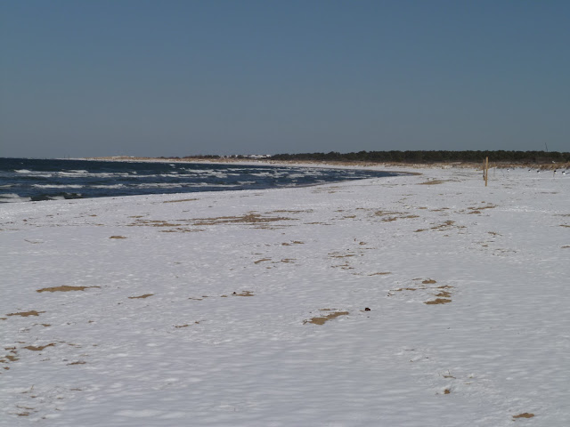 Snowy beach