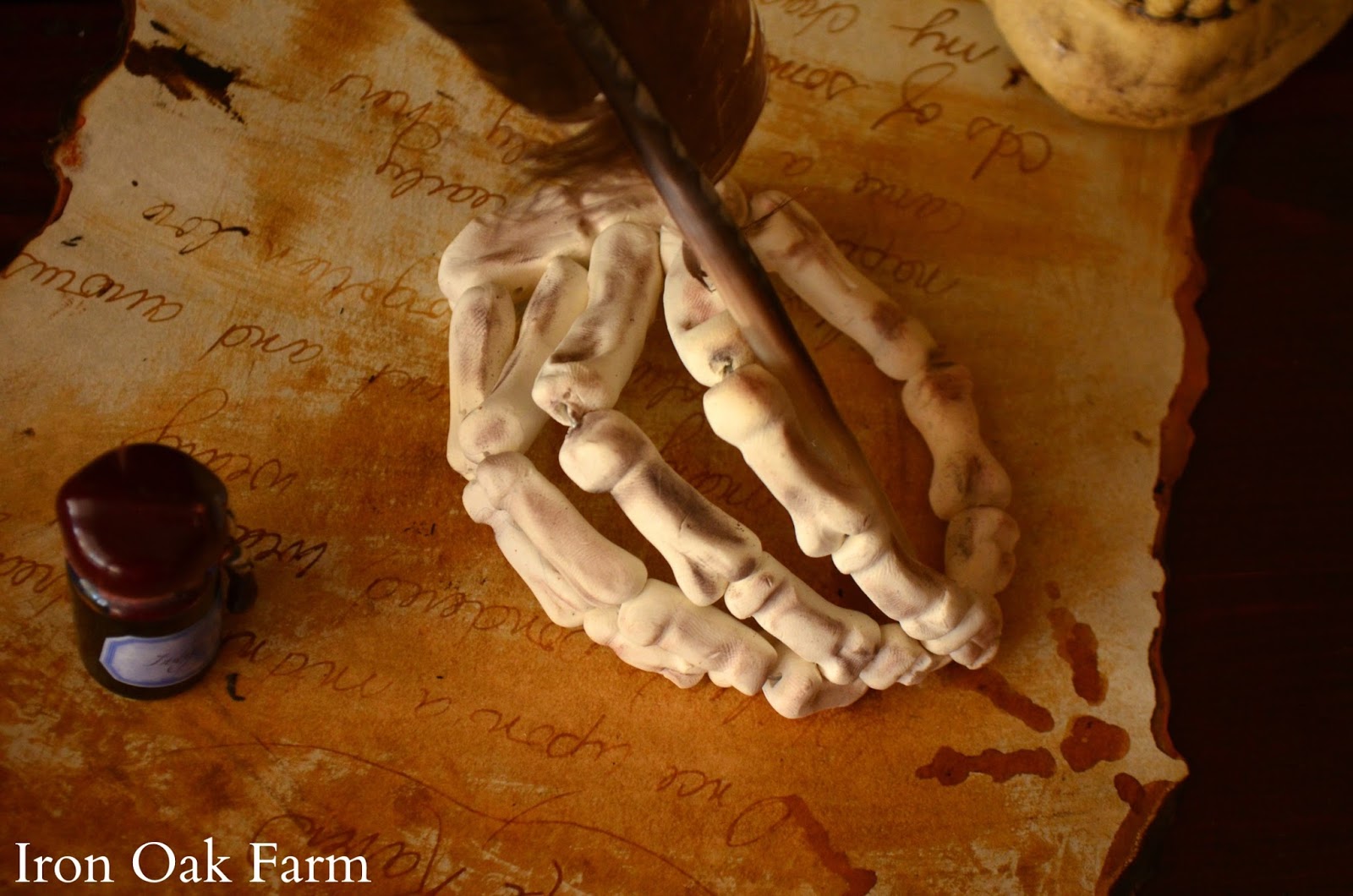 Featured image of post Hand Skeleton With Pen Download the perfect skeleton hand pictures