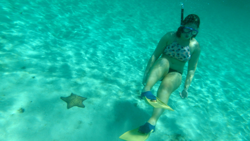 Underwater in The Tobago Cays Marine Park in The Grenadines