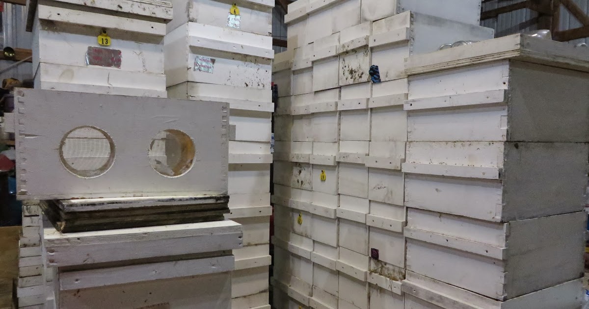 Maria's Bees Think Spring How many bee hive boxes do I need? Should I