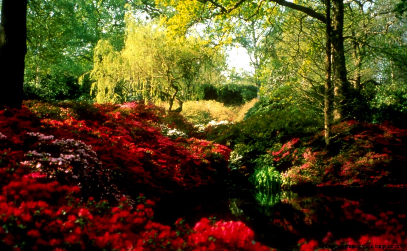 Beautiful Spring Scenes Beautiful Spring Scenes