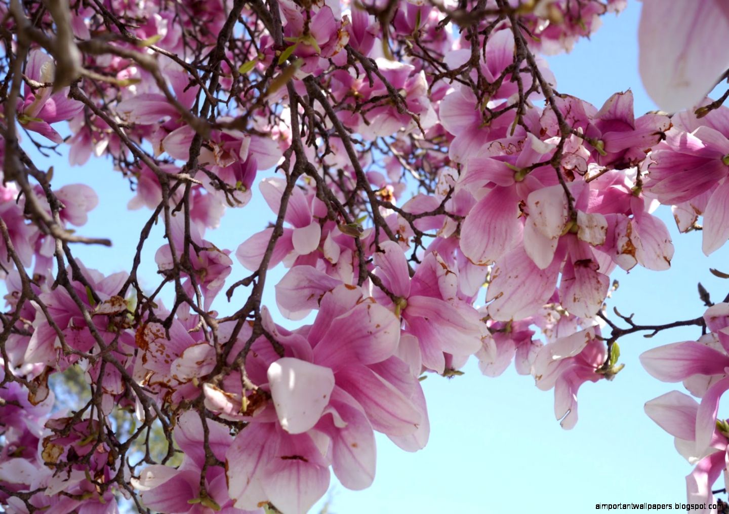 Returning to 39Normal39 Linkouture Returning to 39Normal39 Linkouture