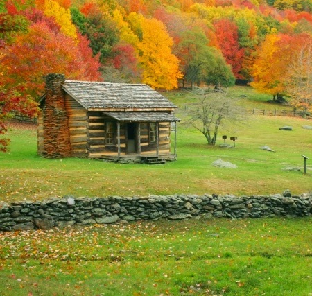 Schroeder Log Help Love Your Cabin