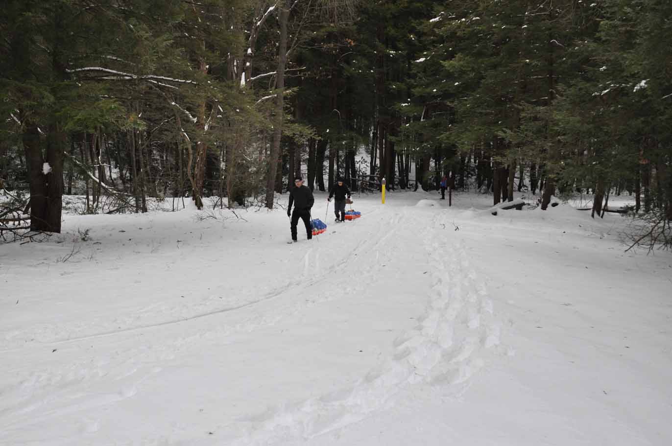Snowshoeing at New Germany State Park