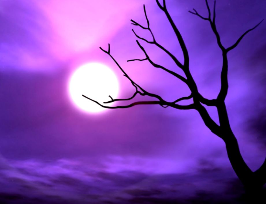 1000 images about Purple on Pinterest Purple things All things