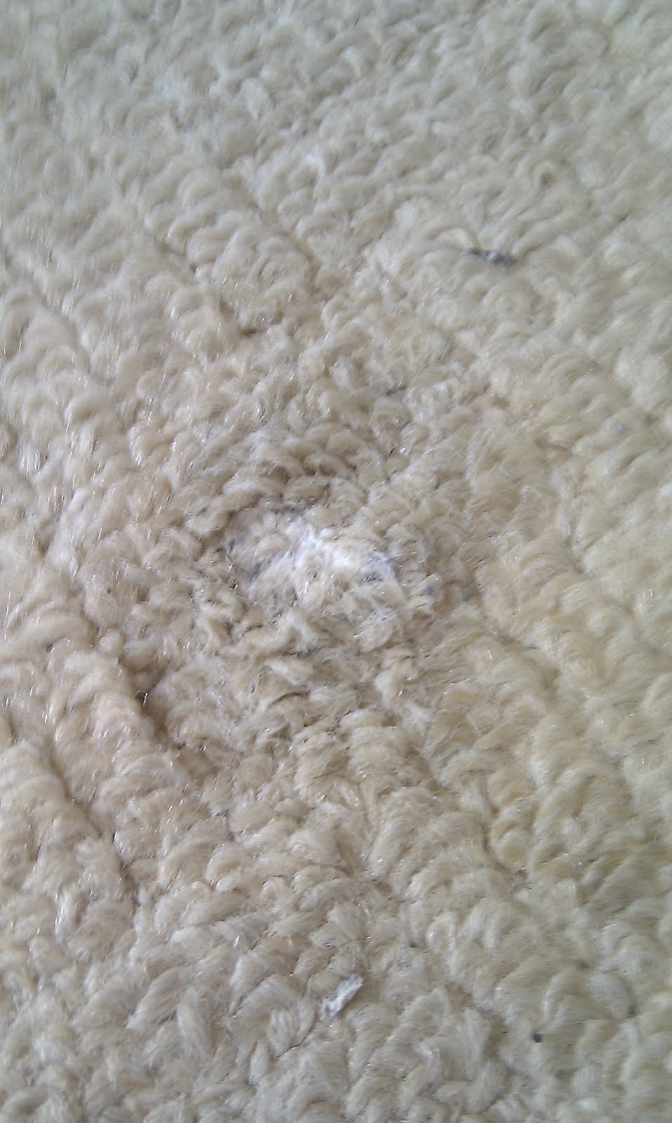 Mrs H the blog How to get chewing gum out of carpets