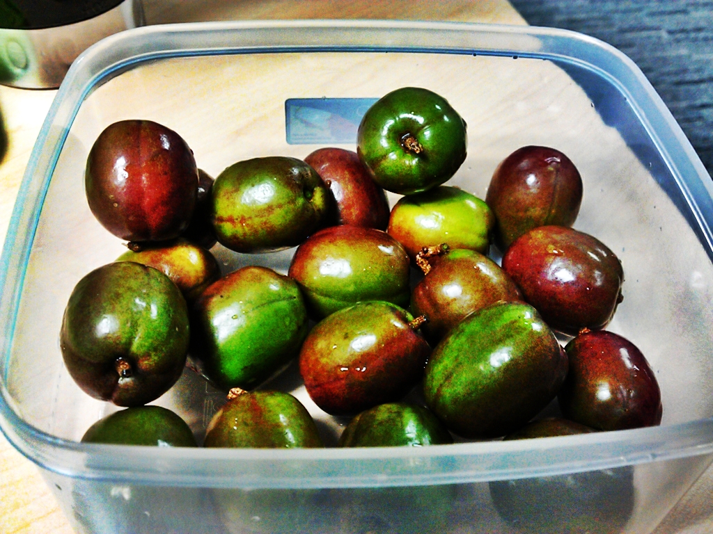 I eat Snackz Snack 5 Spanish Plum