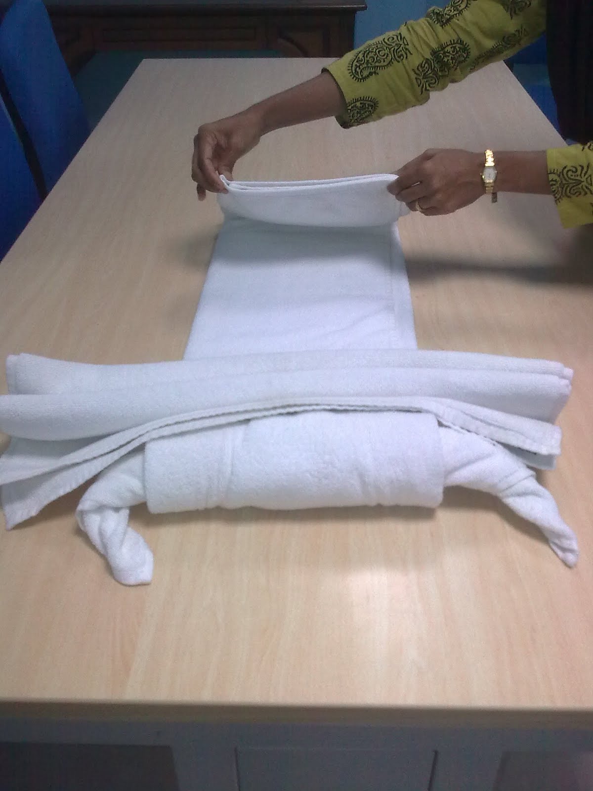 Vision of Art Towel Art