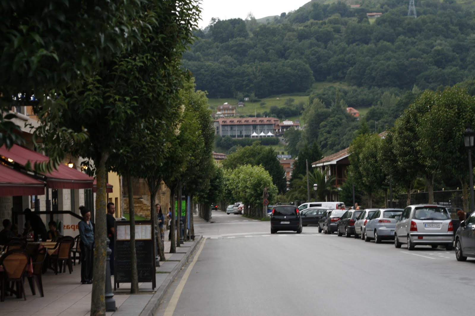 Hotel La Cepada. Cangas de Onís (Asturias) viajes con mi perro
