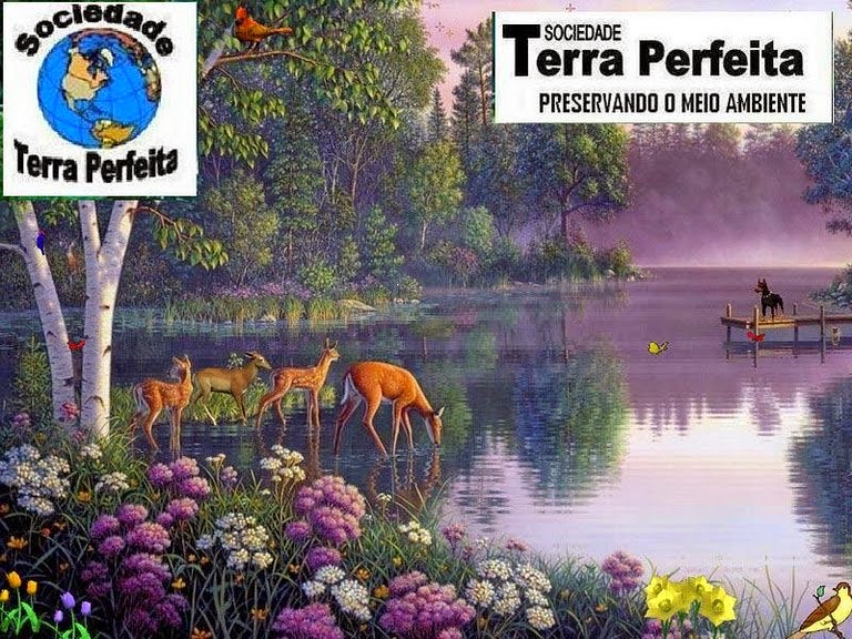 SOCIEDADE TERRA PERFEITA DE MARANGUAPE