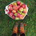 Standing with apples
