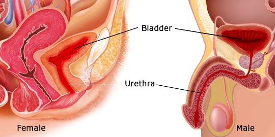 6mercaptopurine vaginal irritation