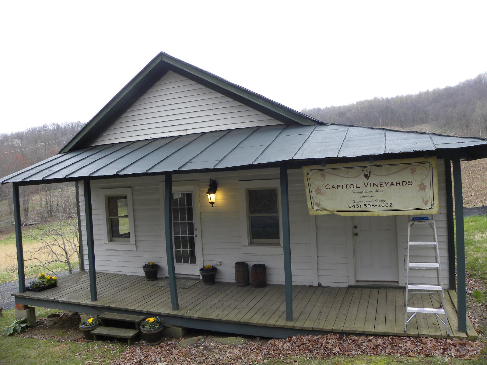 Dee Runk Is Best Upright Boxwood What Grows There Hugh