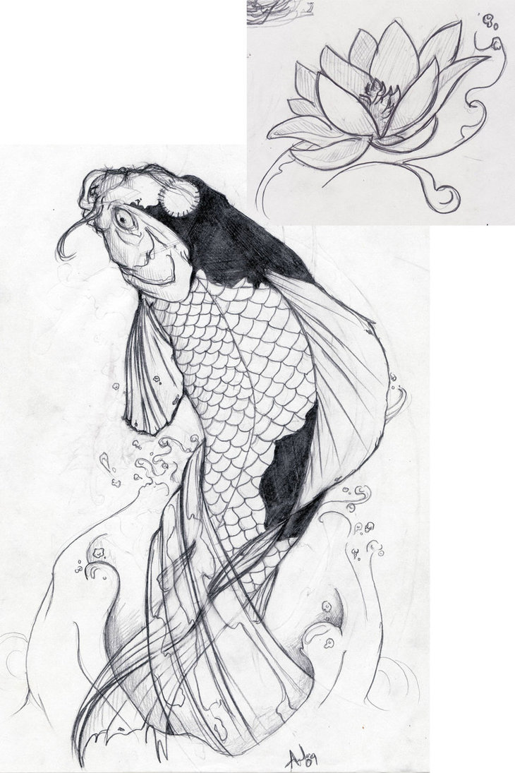 Carpa Koi