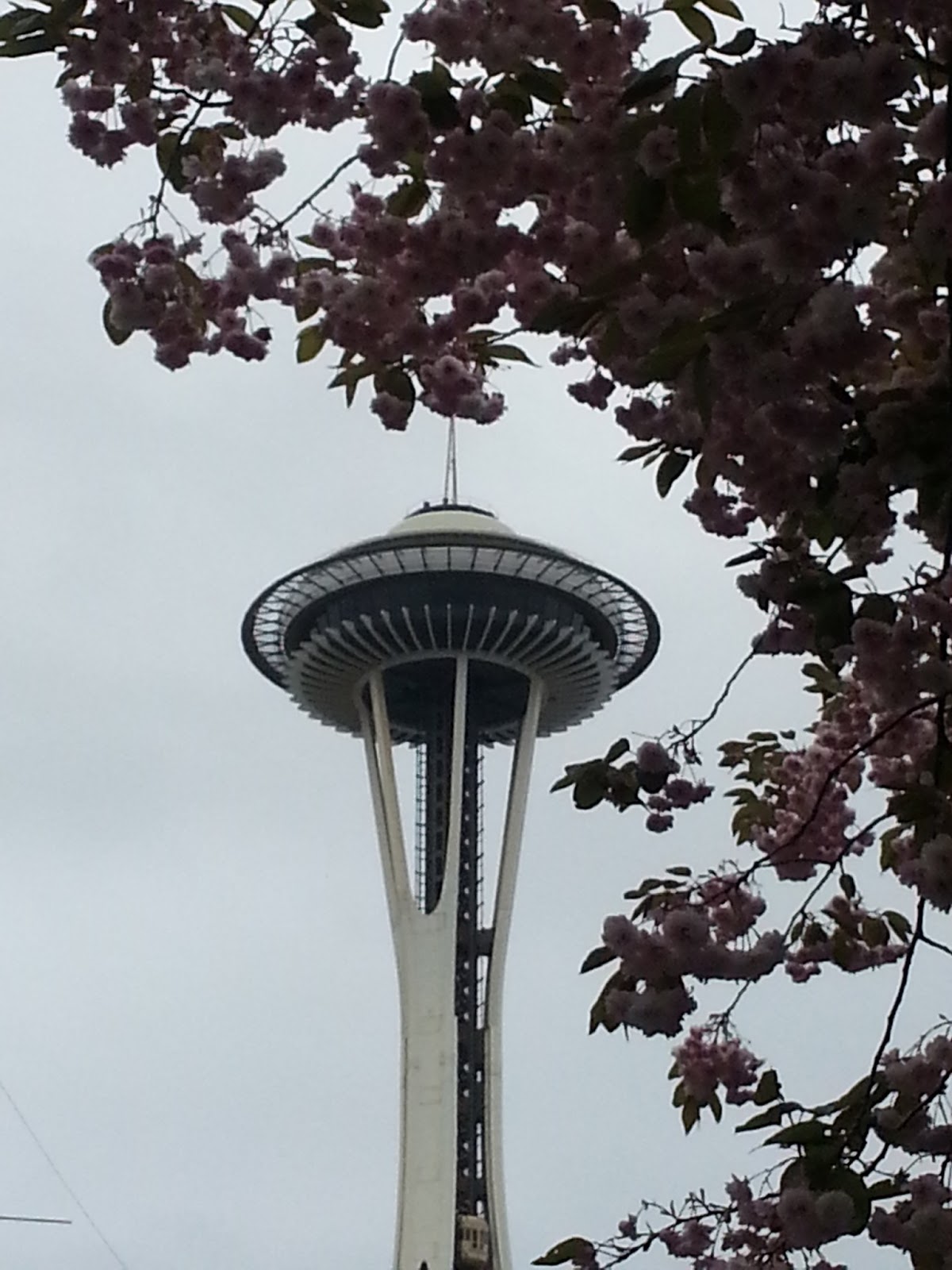 KIMONO LIFE Seattle Cherry Blossom Festival