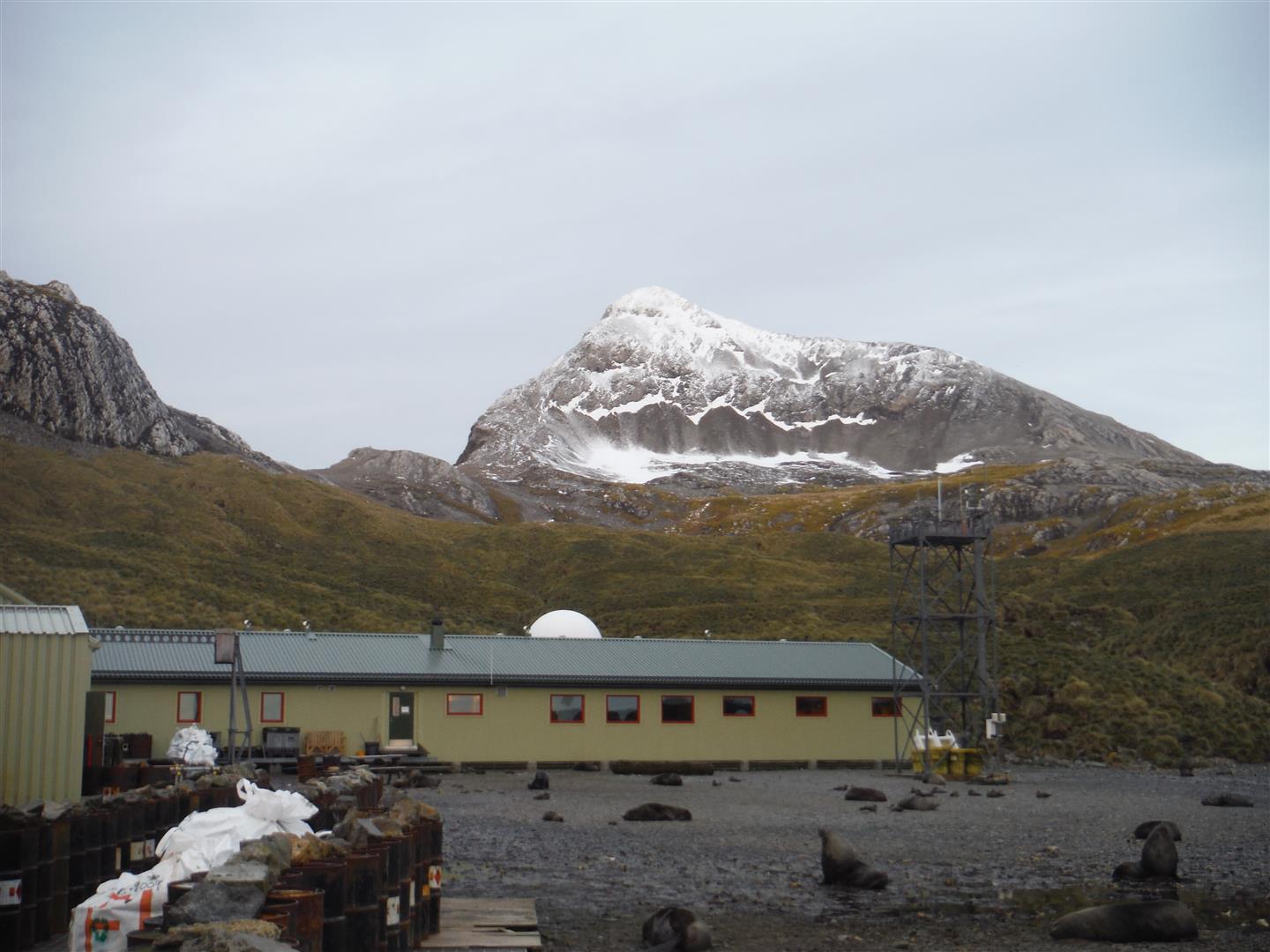 Nature's Freedom Arrival at Bird Island, South