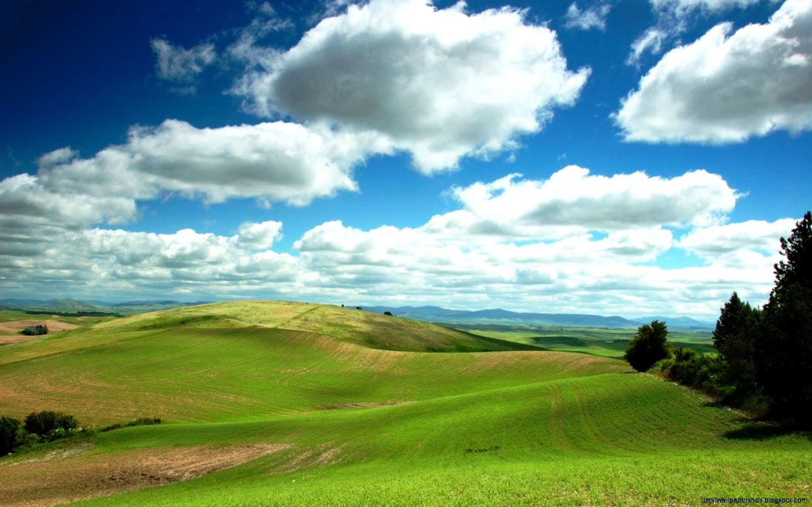 Cloud Landscape Cloud Landscape