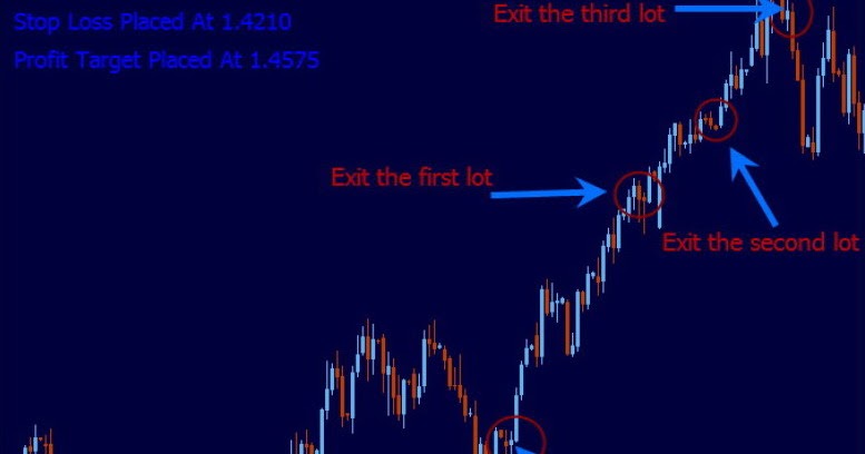 Forex area 51