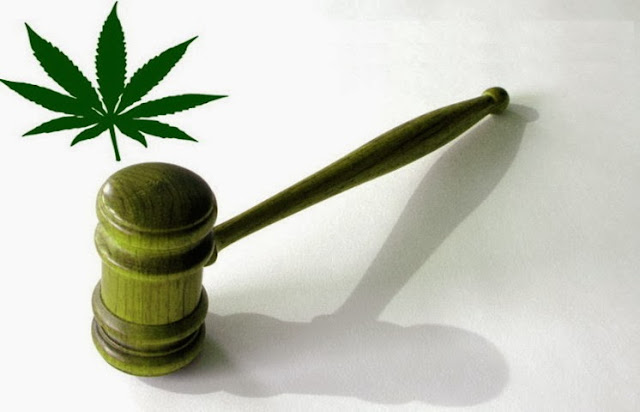 issues involving the legalization of marijuana Not quite half of under-30 crowd support legalization of marijuana significant differences by party, age and gender emerge the opinion of 18- to 29- year. issues involving the legalization of marijuana Not quite half of under-30 crowd support legalization of marijuana significant differences by party, age and gender emerge the opinion of 18- to 29- year.