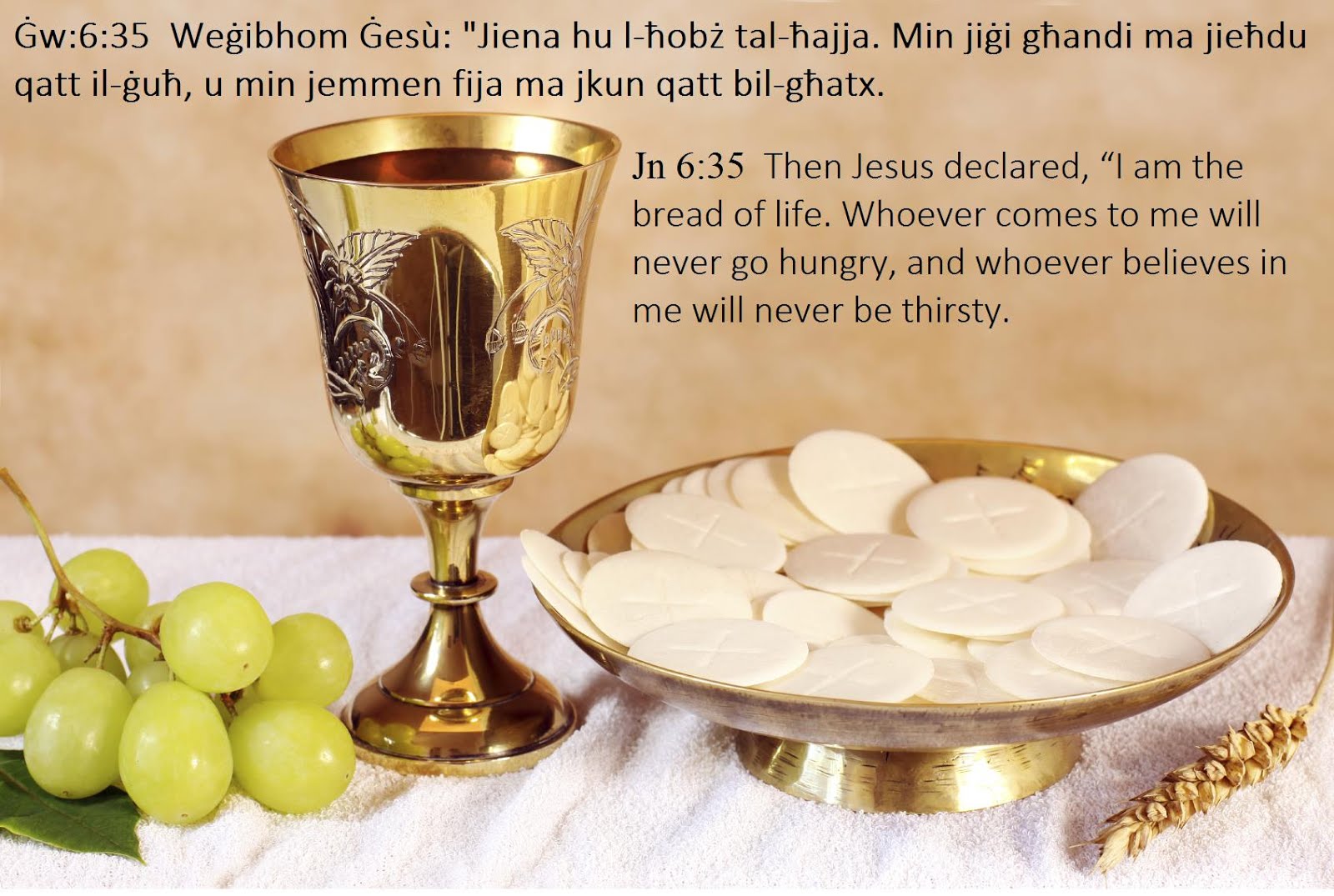 The Sacrament of the Most Holy Eucharist - A Collection of Quotes ...