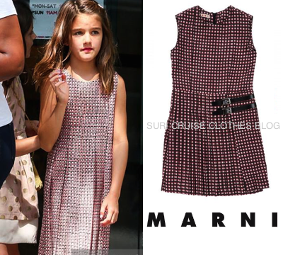 pink chicken suri dress