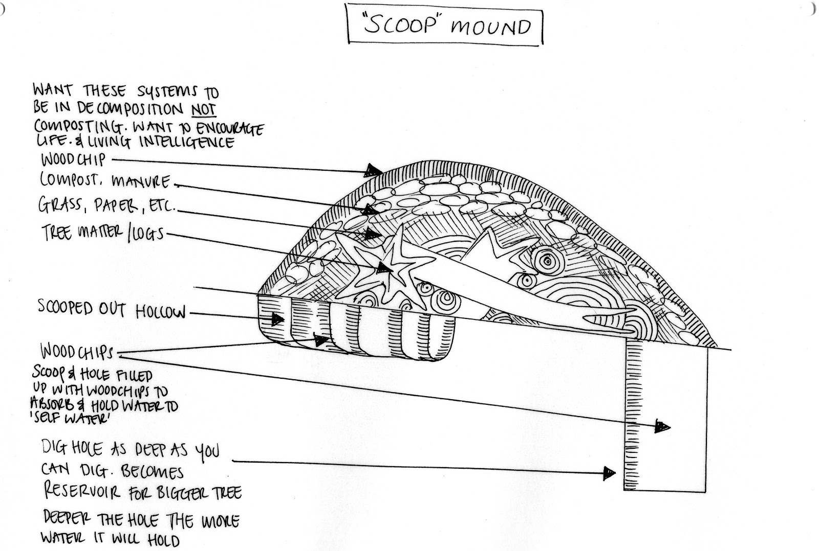 Waterless Garden Project KENTUCKY LEARNING CENTRE