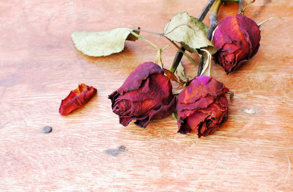 Interesting Ways to Reuse Dead Flower