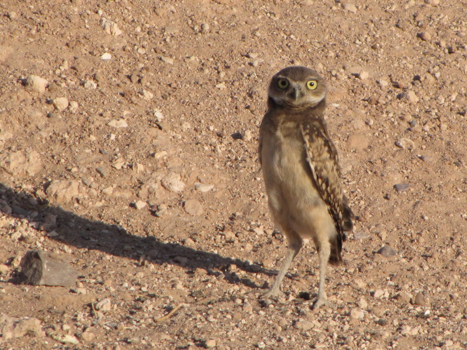 Circling the Smiling Pond El Paso Day 3.5 Return to Rio Bosque Finale