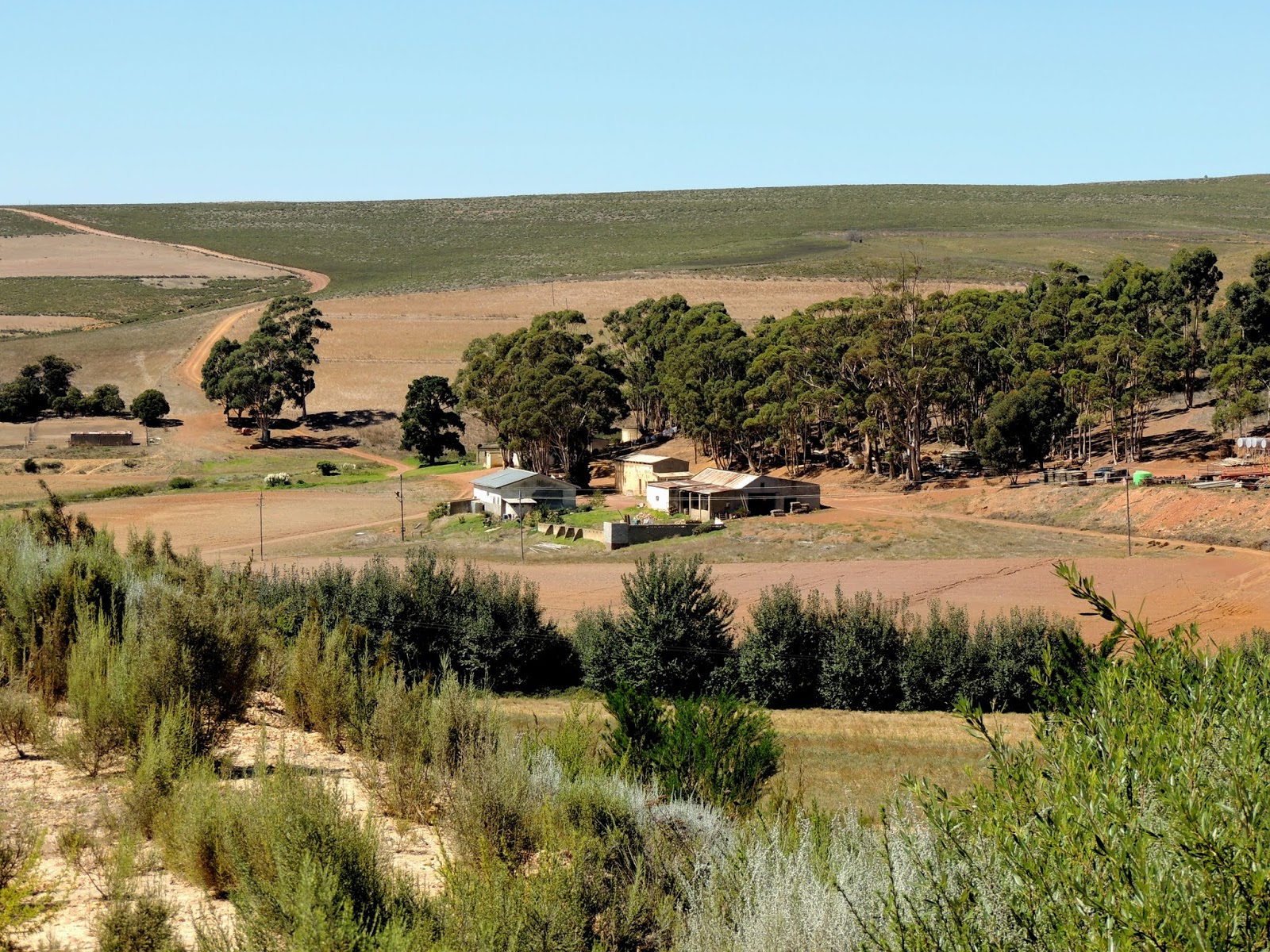 Taking Charge of My Life Photos of a South African Farm