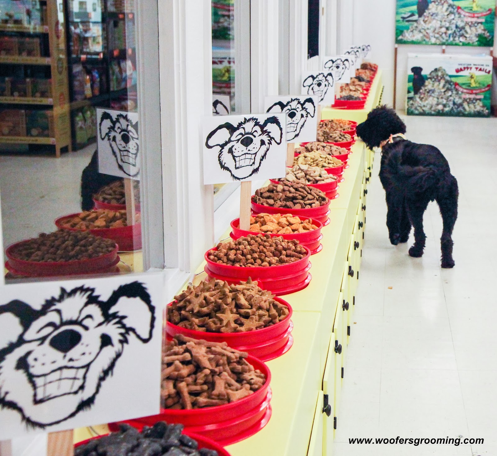 Woof Notes Woofers Grooming & Goodies Announces the Winner of the FREE