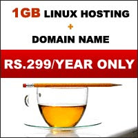 Domain + 1GB Hosting in Rs.299/year