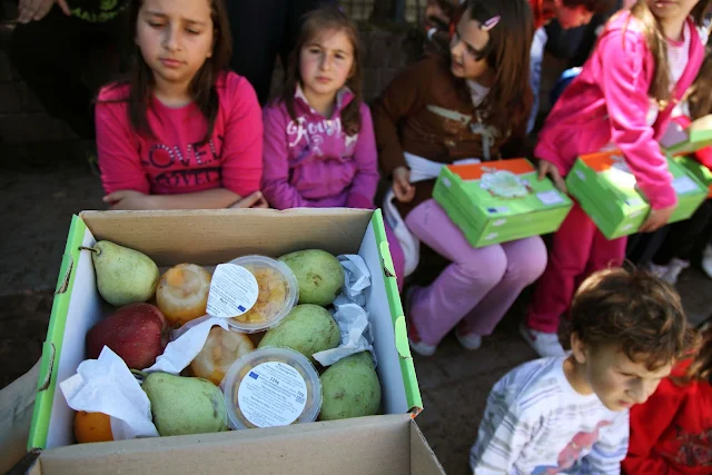 Δωρεάν διανομή φρούτων και γαλακτοκομικών στα σχολεία!