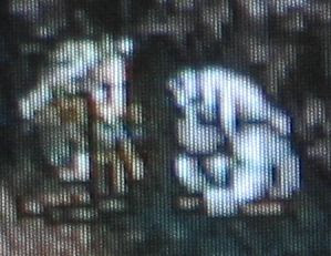 See, when FFX-2 came out, I misread the 'Defense Veil' item. See, when FFX-2 came out, I misread the 'Defense Veil' item.