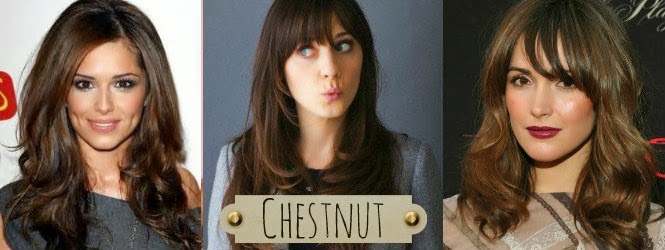 Chestnut Brown Hair Color for 2014 brunette hair color