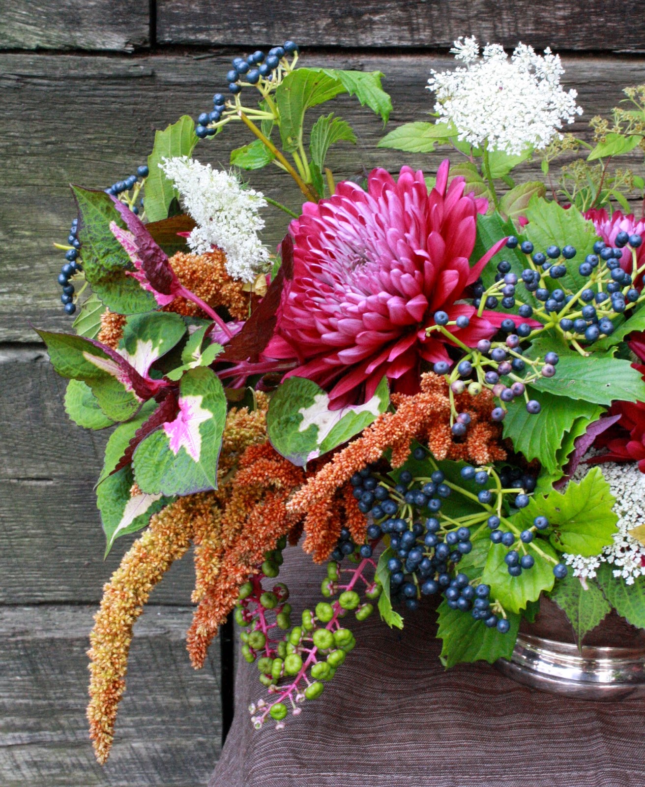 Scope for Imagination Could be my last flower post for awhile...