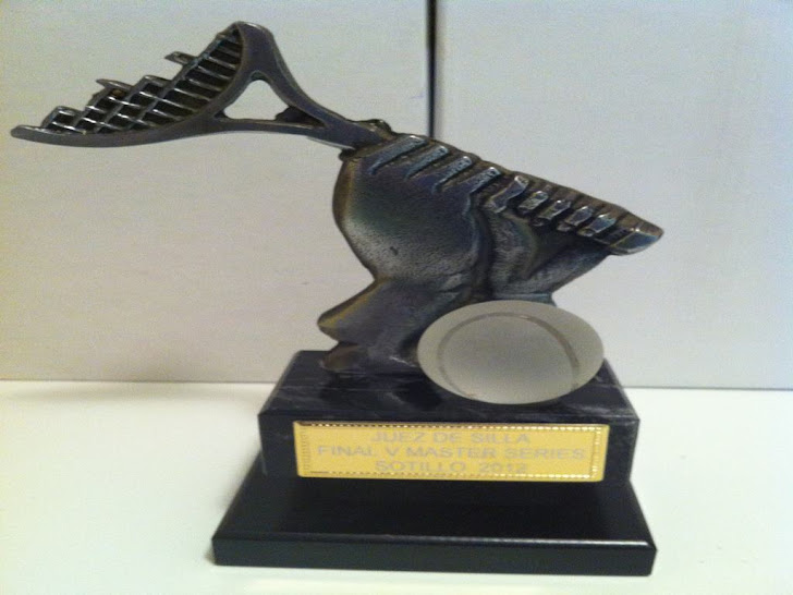 Trofeo Juez de Silla V Master 2012