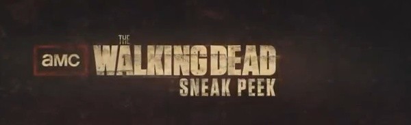 The Walking Dead S02E08 - Subtitles Live