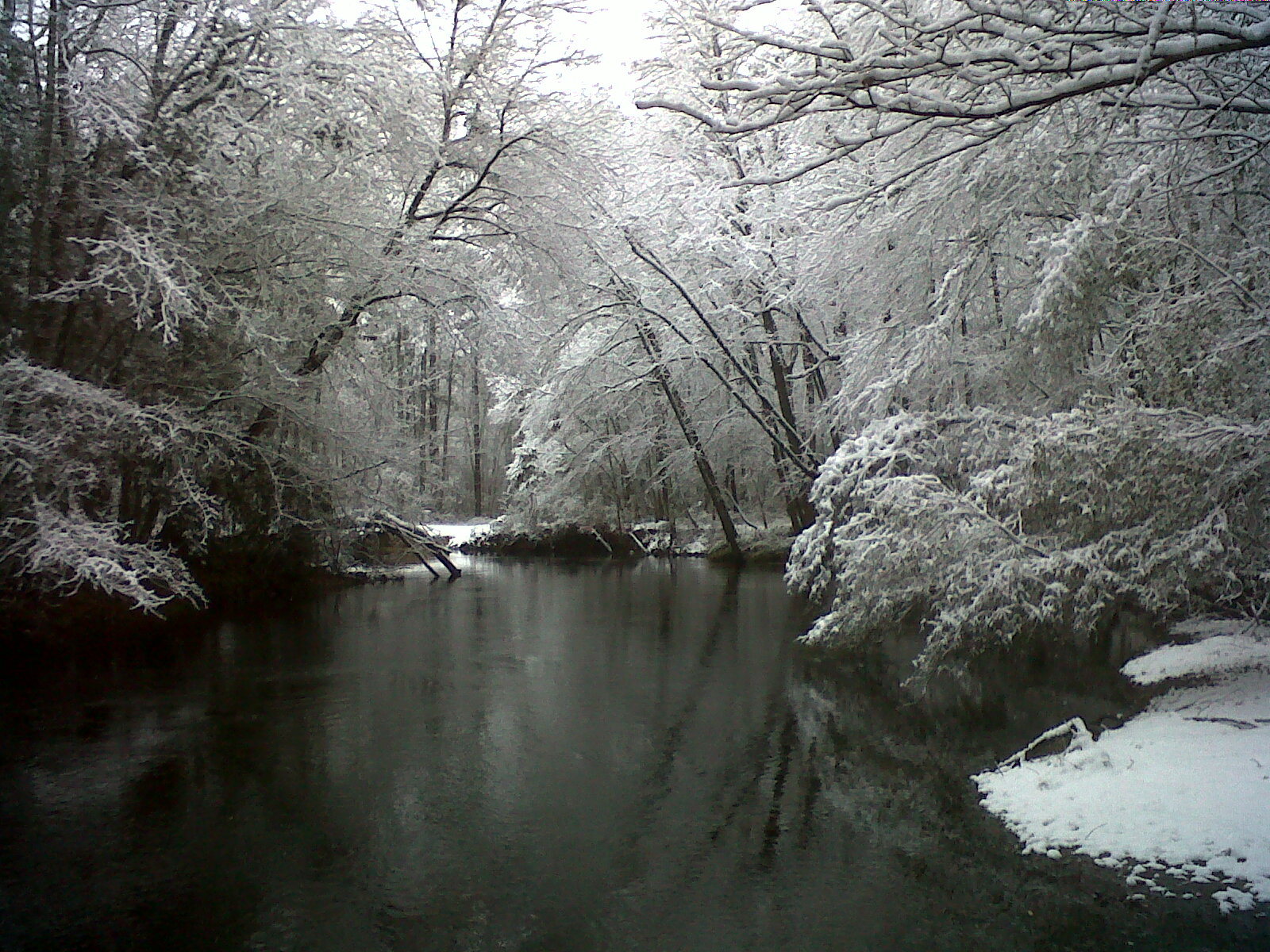 Lumber River State Park Chalk Banks New Fallen Snow