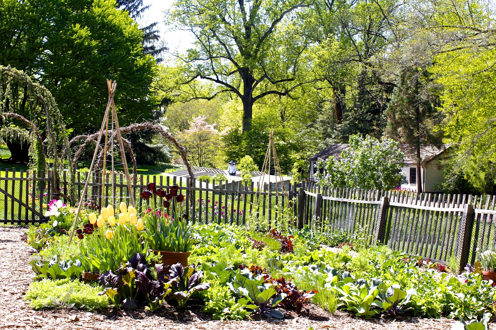 figs flowers food CHANTICLEER GARDENS in Wayne, Pennsylvania